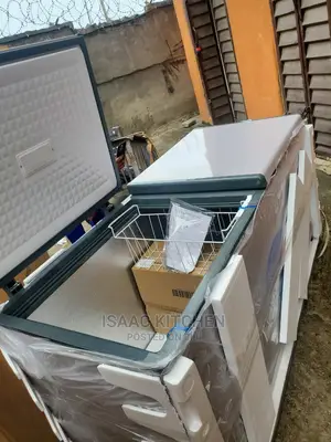 Double Door Industrial Chest Freezer