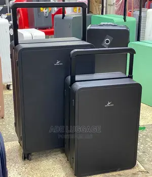 Leaves King Luggage Box