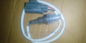 Oxygen Sensor