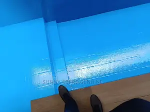 Acrylic and Polyurethane Epoxy Swimming Pool Waterproof Coat