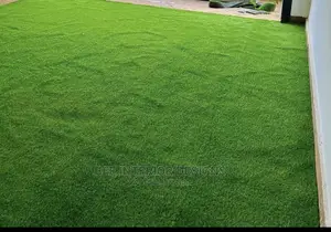 Quality Artificial Carpet Grass