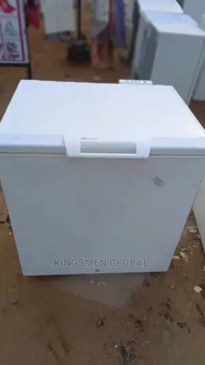 High Quality Deep Freezer for Frozen Food Business