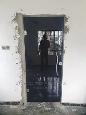Frameless Single Black Glass Door