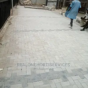 Interlocking Paving Stone