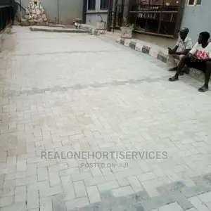 Interlocking Paving Stone