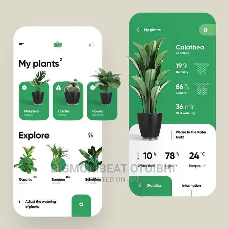 Web And Mobile App Developer