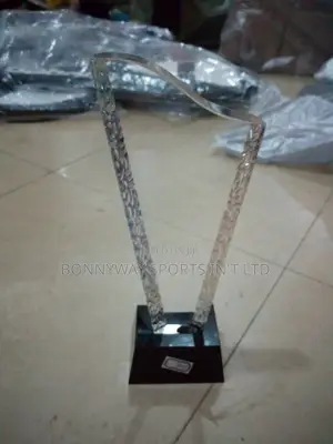 Awards Glasses
