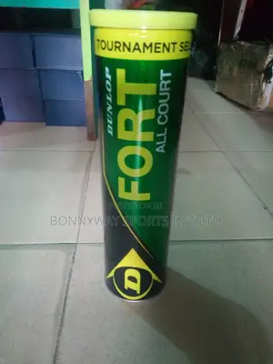 Dunlop Fort All Court Tennis Balls