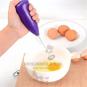 Mini Hand Whisk