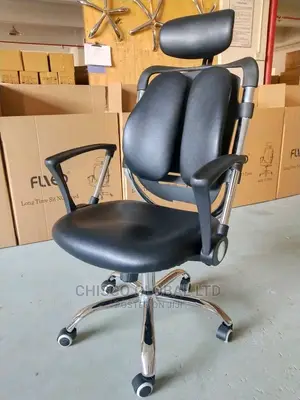Office Chair (Orthopedic)