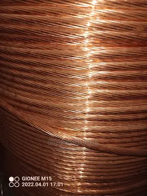 70mm Bear Copper