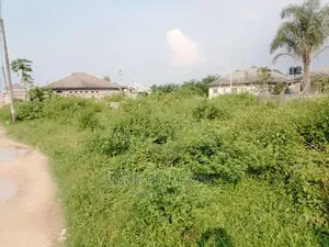 Eneka Dry Land