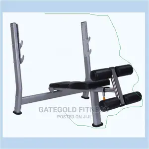 Weight Bench (Premium) Wt-A51 Decline