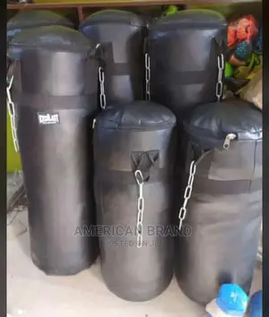 Everlast Punching Bag