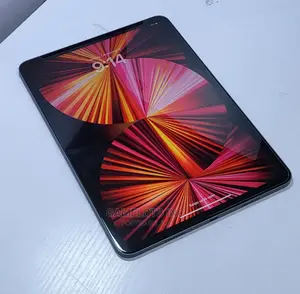 Apple iPad Pro 11 (2021) 256 GB Gray