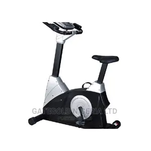 GG9.5 Upright Bike