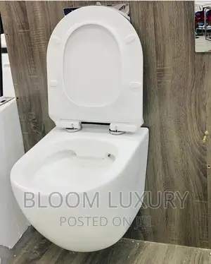 England Conceal Toilet
