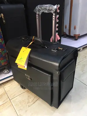 Leaves King Pilot Luxury Luggage Box
