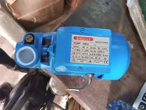 0.5hp Angulf Water Pump