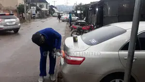 Car Buffing and Polishing