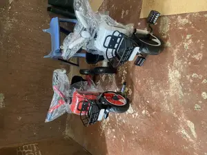 Indoor and Outdoor Tricycle