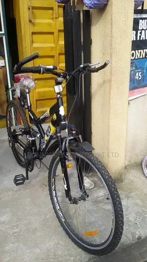 Adult Bicycle