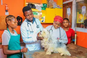 Veterinary Clinic Pet Shop