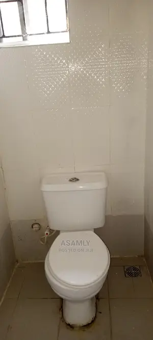 In-Depth Professional Cleaning Services