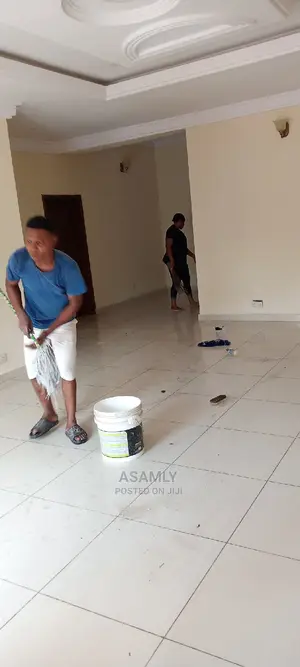 In-Depth Professional Cleaning Services