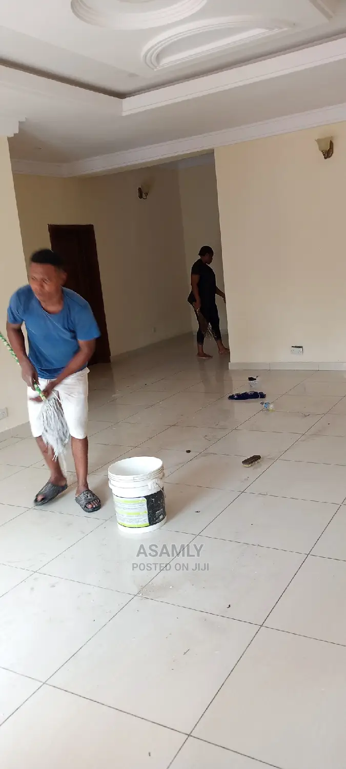 In-Depth Professional Cleaning Services