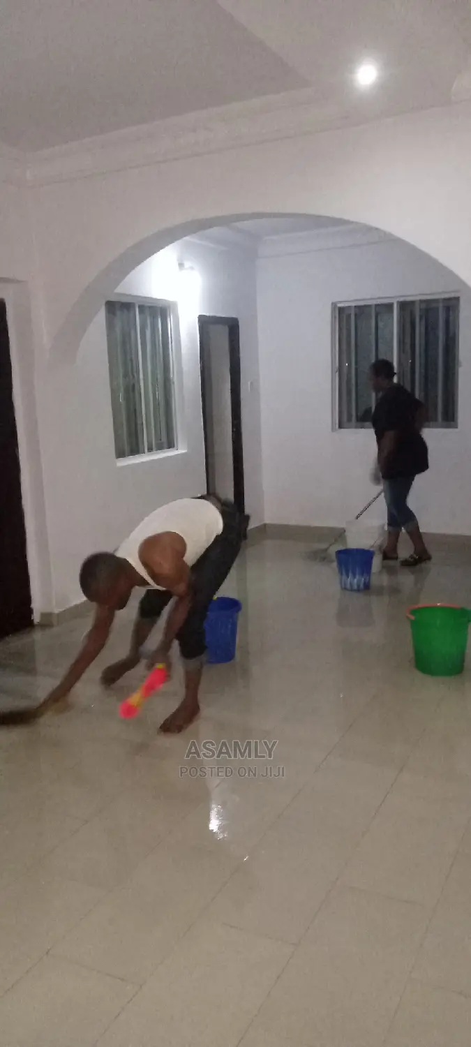 In-Depth Professional Cleaning Services