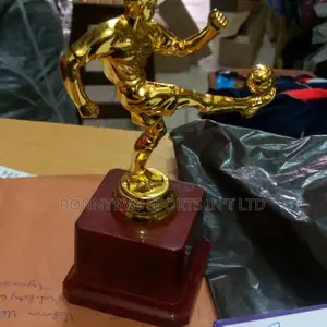 Soccer Player Award