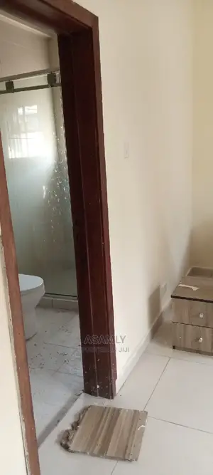 Professional Cleaning Services