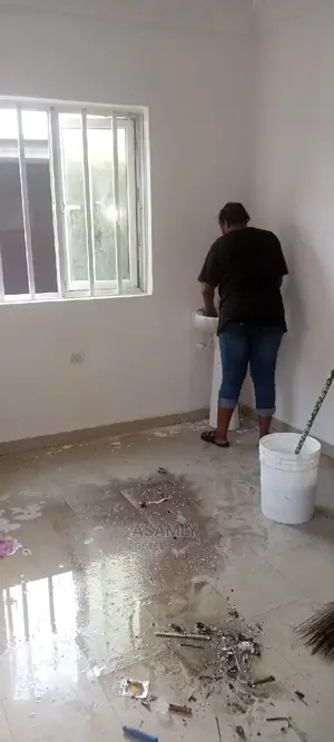 Professional Cleaning Services