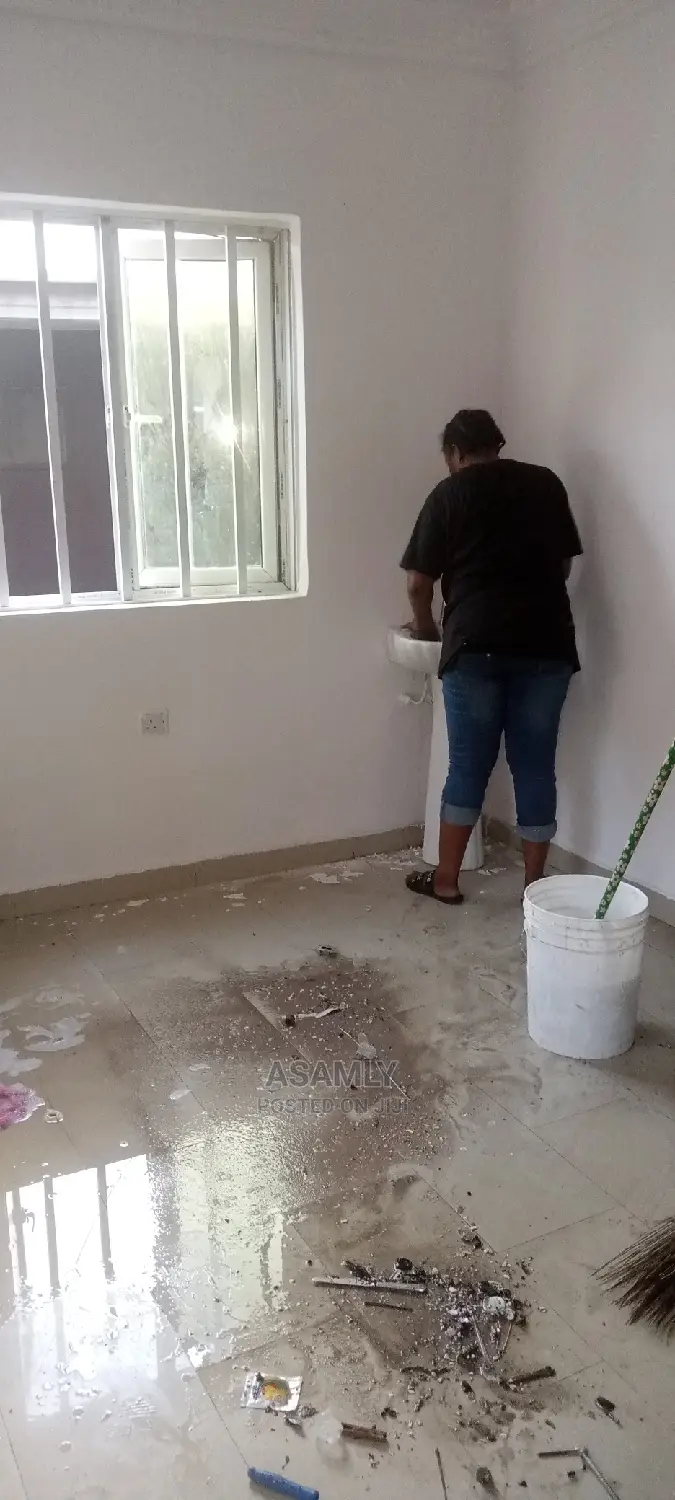 Professional Cleaning Services