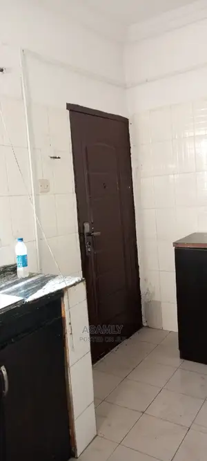 Professional Cleaning Services