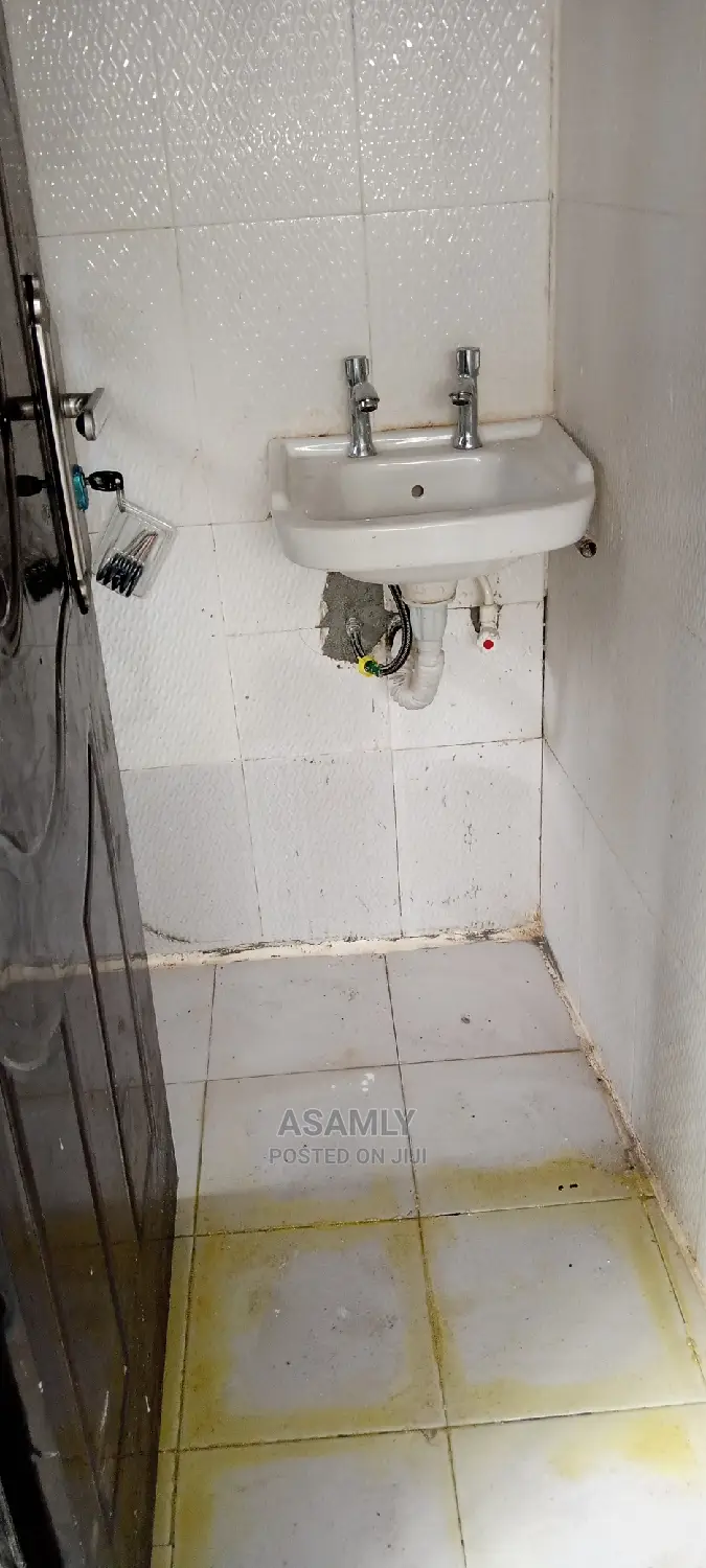 Professional Cleaning Services