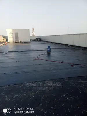 Professionals Waterproofing