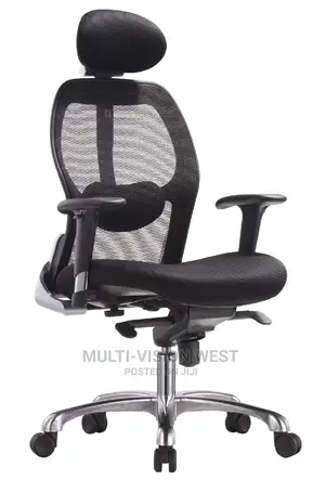Executive Ergonomic Chair With REC Mechanism