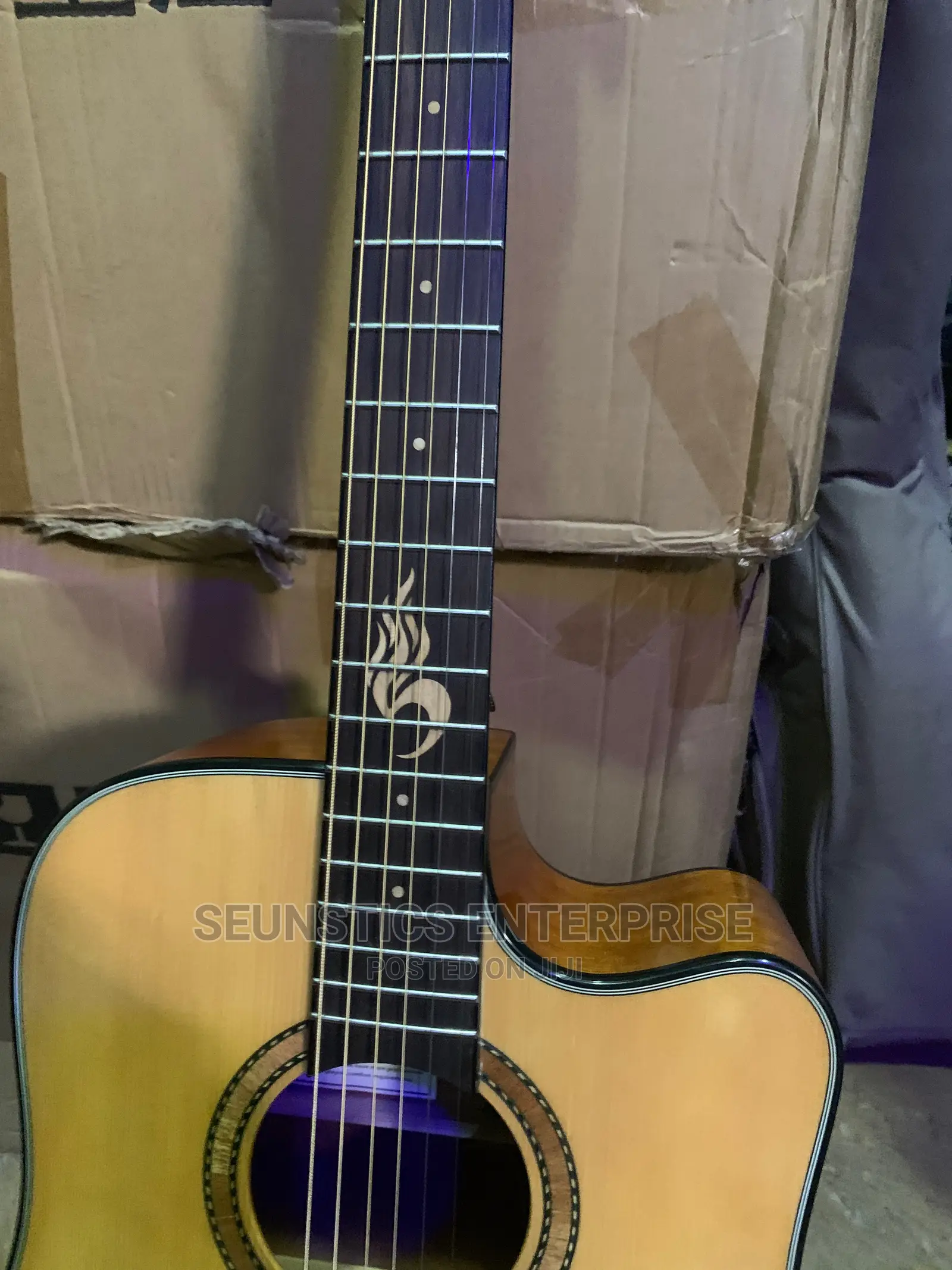 Quality Brook Electro Acoustic Guitar