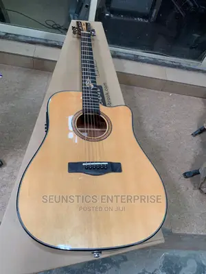 Quality Brook Electro Acoustic Guitar
