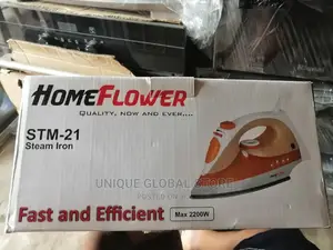 Homeflower Steam Iron STM-21