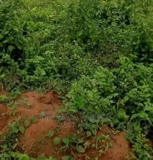 7plots of Land at *Asese Along Ibadan Express Way*