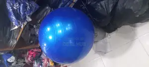 Gym Ball Blue CX