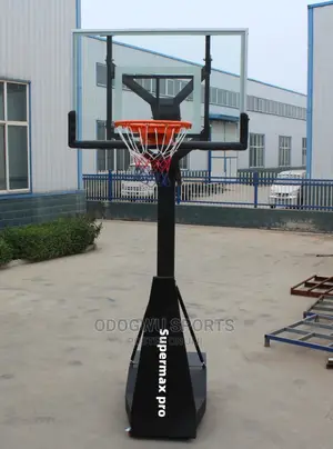 Pro Basketball Stand