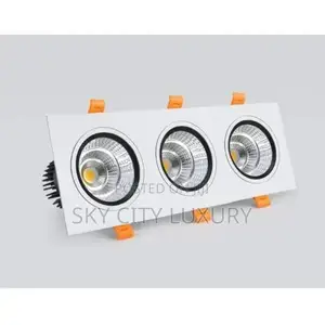 Double Sport Light