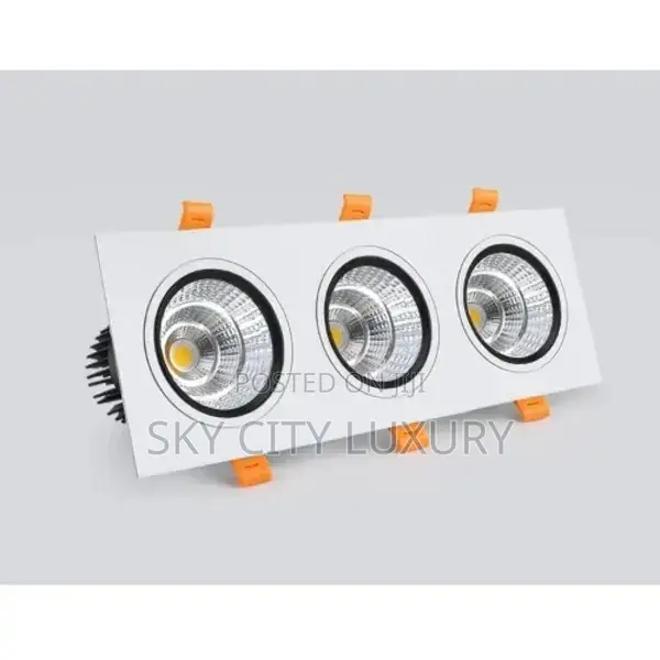 Double Sport Light