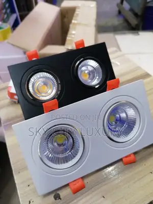 Double Sport Light