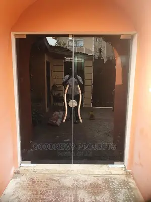Frameless Entrance Gray Glass Door