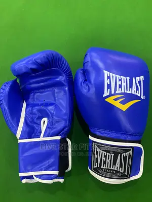 Everlast Boxing Gloves